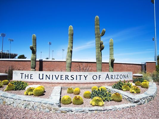Học bổng 10.000 USD từ đại học The University of Arizona